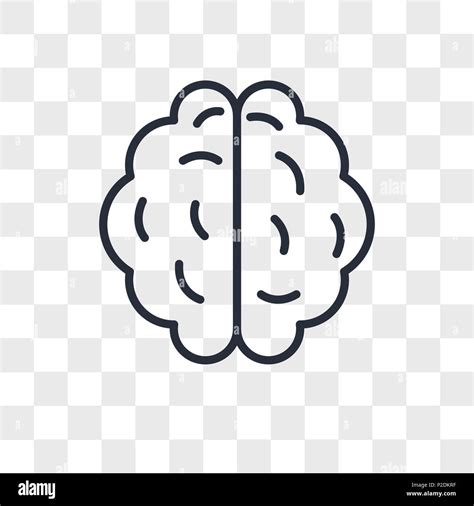 Brain Vector Icon Isolated On Transparent Background Brain Logo