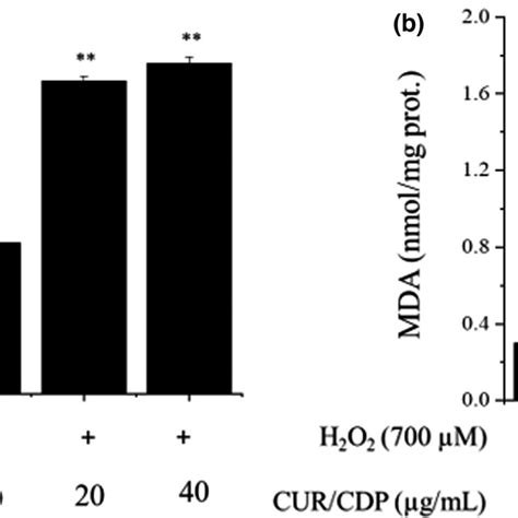 Effect Of Curcumin Cyclodextrin Polymer CUR CDP Pretreatment On The