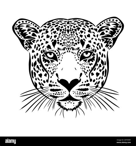 Cara de leopardo Imagen gráfica Ilustración vectorial Imagen Vector