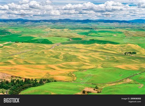 Palouse Region Image & Photo (Free Trial) | Bigstock