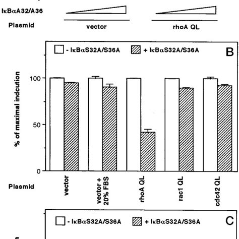 Cooperation Between Nf B And Rhoa In The Sre Dependent Transcriptional