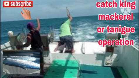 Fishing Boat Amazing Adventure Catching King Mackerel Operation 10 2023