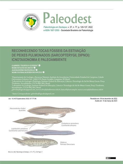 RECONHECENDO TOCAS FÓSSEIS DA ESTIVAÇÃO DE PEIXES PULMONADOS