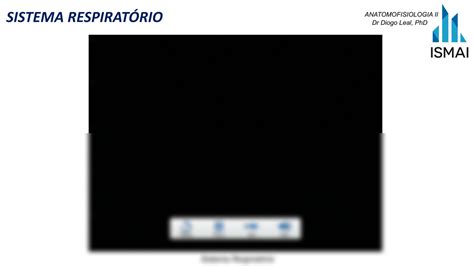 SOLUTION 5 Sistema Respirat Rio 1 Studypool