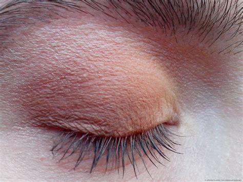 Urban Decay Naked Ultimate Basics Eyeshadow Palette The One And Only