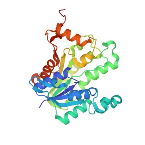 Rcsb Pdb 1vrw Crystal Structure Analysis Of Plasmodium Falciparum