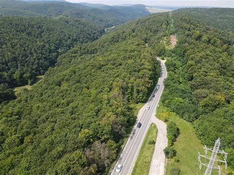 Fondul Forestier Ocupa 27 7 Din Suprafata Tarii Bacaul In Top