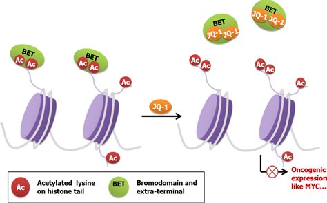 Bromodomain And Extra Terminal Inhibitors Emerge As Potential