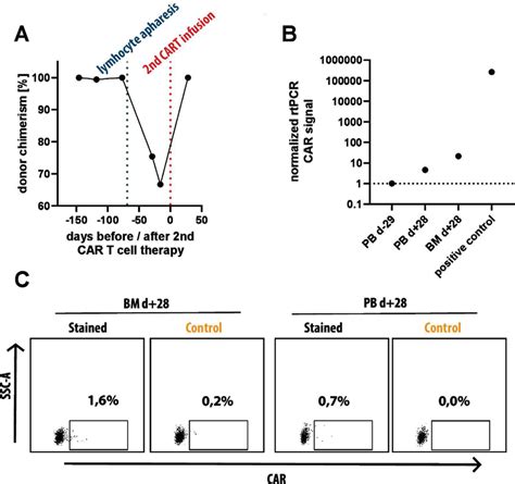 Donor Chimerism At Time Of Lymphocyte Apheresis And Detection Of Cd