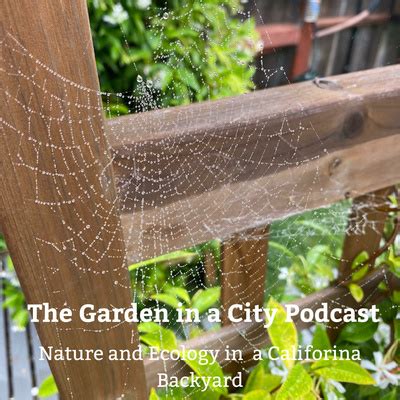 Garden in a City • A podcast on Spotify for Podcasters
