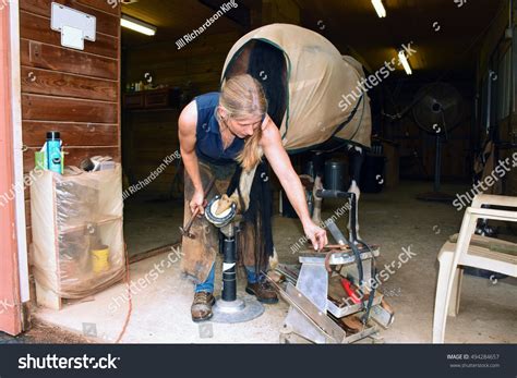 Female Farrier Work Shoeing Hunting Horse Stock Photo 494284657