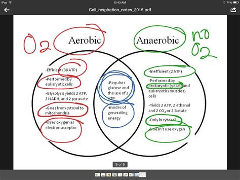 ShowMe - anaerobic aerobic exercise comparrison