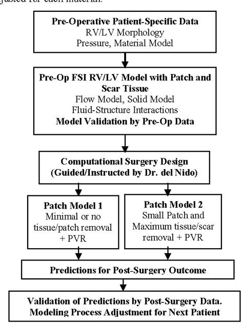 Figure 1 From Patient Specific Virtual Surgery For Right Ventricle