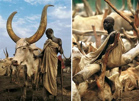 Dinka Tribe Rituals