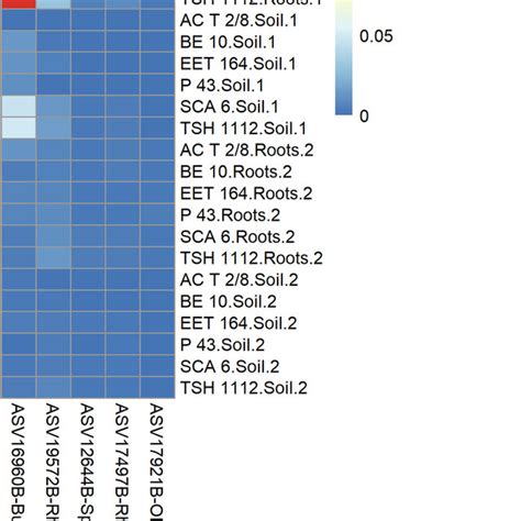 Heatmap Of Prokaryotic Amplicon Sequence Variants Asvs Identified As