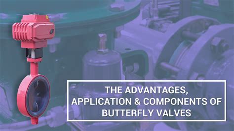 The Advantages Application Components Of Butterfly Valves SKG