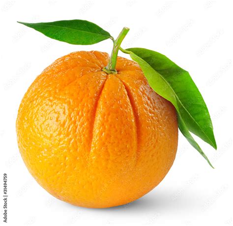 Transparent Orange Fruit