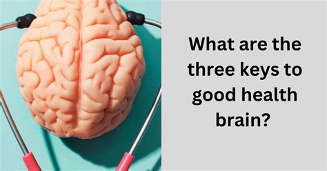 What Are The Three Keys To Good Health Brain Lets Check