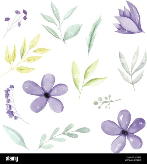 Purple Aquarell Botanik Blumen Bl Tter Und Zweige Hand Gezeichnet