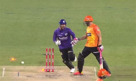 Big Bash League Faf Du Plessis Angry Because Of Matthew Wade In Hindi