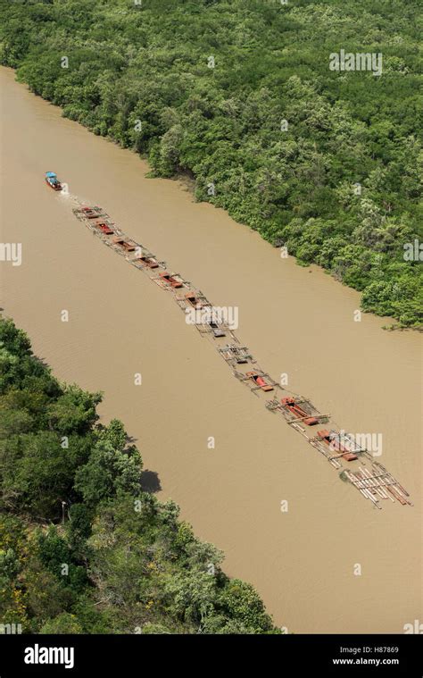 Logs Being Pulled On River Canje River Guyana Stock Photo Alamy