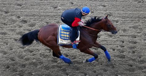 American Pharoah Owner Sells Breeding Rights, Says Retirement Likely By Jan. 1 - CBS New York