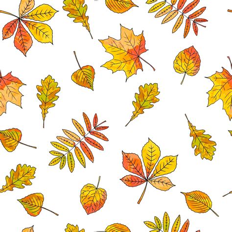 Premium Vector Autumn Leaves Seamless Pattern On White Background