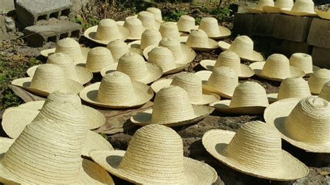 Santa Bárbara Más Conocida Como La Tierra Del Junco Y El Café Diario