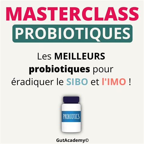 Masterclass Les meilleurs probiotiques pour éradiquer le SIBO