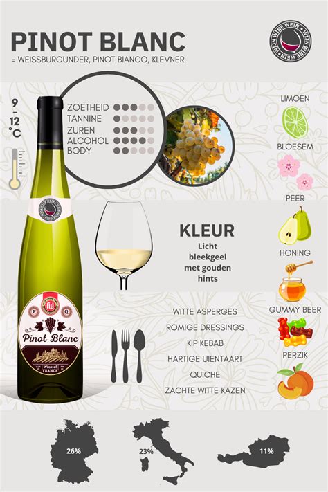 Wat Is Pinot Blanc Wijn Guide Infographic Wijn Wine Wein