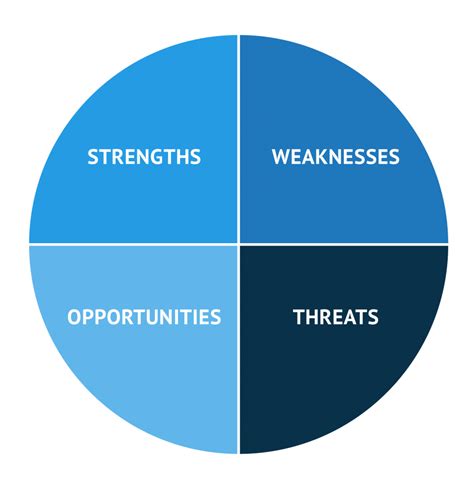 Swot Analysis Physio Newbies