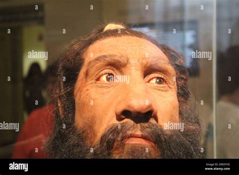 Museo De La Evolucion Humana Fotografías E Imágenes De Alta Resolución Alamy