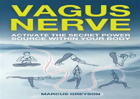 PPT PDF READ ONLINE Vagus Nerve Activate The Secret Power Source W