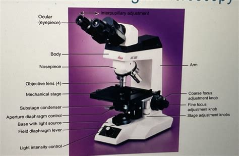 microscope parts Diagram | Quizlet