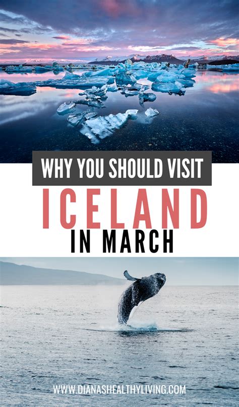 Epic Reasons To Visit Iceland In March Artofit