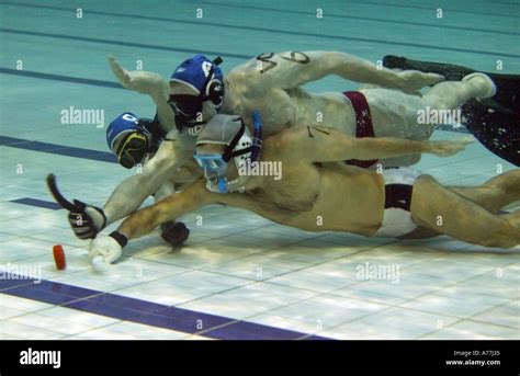 Usa V Canada World Underwater Hockey Championships Christchurch New