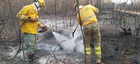 El 88 de las hectáreas afectadas por incendios están dentro de