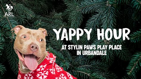 Yappy Hour At Stylin Paws Play Place Animal Rescue League Of Iowa