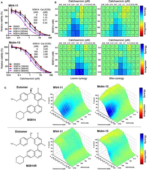 Frontiers Dna Pk Inhibitor M As A New Combination Partner Of