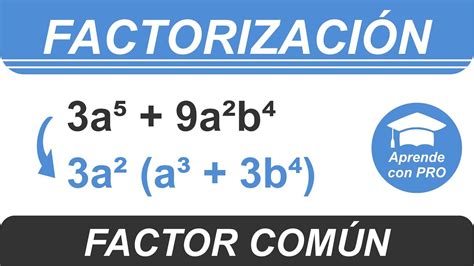 FACTORIZACIÓN por FACTOR COMÚN 3 Ejercicios resueltos paso a paso con