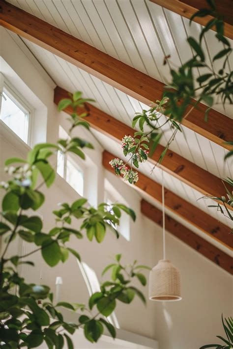 Elevate Your Space Vaulted Ceiling Trim Ideas