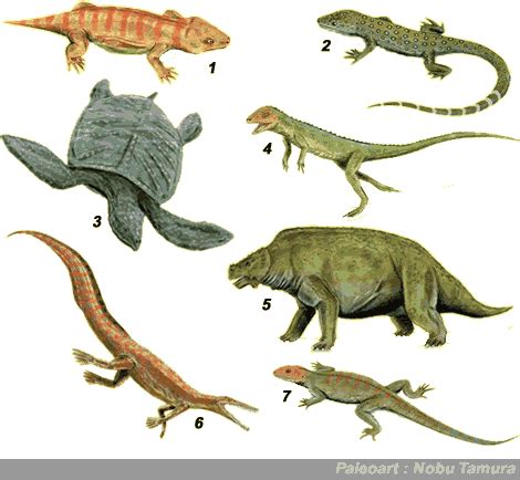 Palaeos Vertebrates Anapsida: Overview