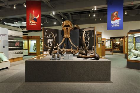 Gallery of Alaska | Museum | Museum of the North