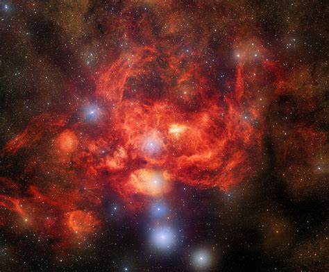 This image of a ‘lobster nebula’ is delicious | Popular Science