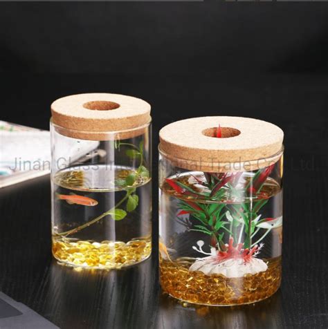 Transparent Glass Hydroponic Flowerpot Hydroponic Plant Glass Bottle