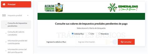 Consulta de predios por cédula Comprobante de pago 2025