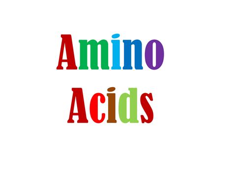 SOLUTION Amino Acid Studypool