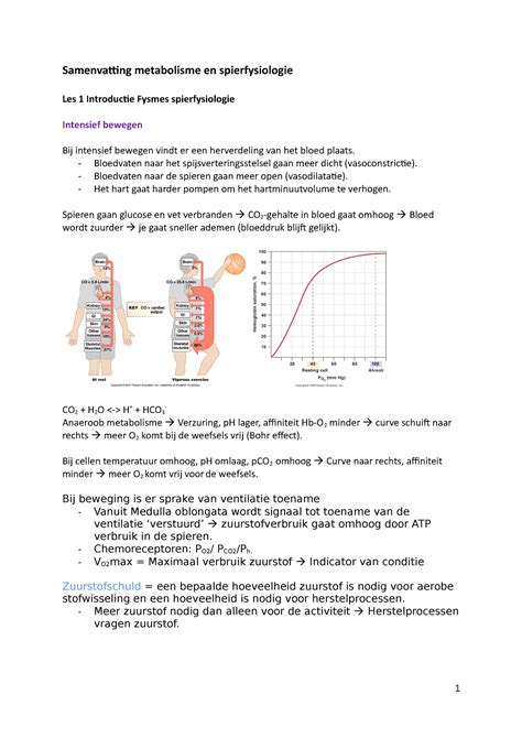 Samenvatting Metabolisme En Spierfysiologie Bloedvaten Naar Het