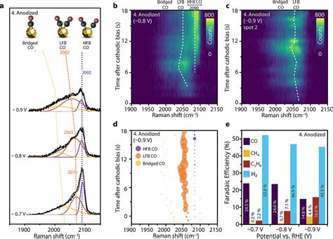 SubSecond TimeResolved SurfaceEnhanced Raman Spectroscopy Reveals