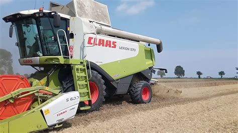 Trebbiatura Orzo 2020 Claas Lexion 570 YouTube